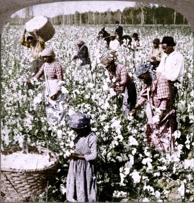 Baumwolle ist König - Plantagenszene mit Arbeitern. Georgia, um 1900 von Unbekannt