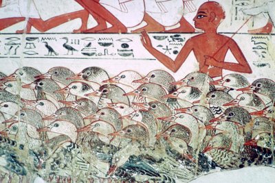 Gänse zählen: Fragment einer Wandmalerei aus dem Grab von Nebamun, Theben, Ägypten, ca. 1350 v. Chr. von Unbekannt