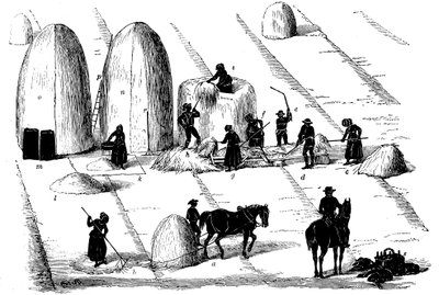 Fruchtfolge: Roggengras dreschen für Samen, 1855 von Unbekannt