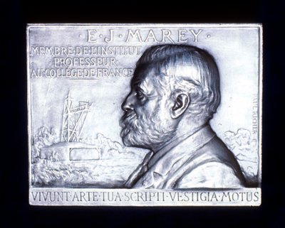 Étienne-Jules Marey, 1830-1903, französischer Physiologe, 19. Jahrhundert von Unbekannt
