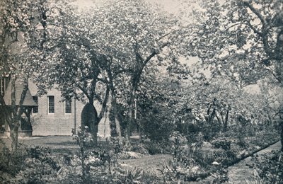 Beispiel eines Obstgartens, ursprünglich angelegt von William Morris, ca. 1900 von Unbekannt