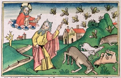 Exodus 8:20-32: Moses und der Fliegenschwarm, eine der sieben Plagen Ägyptens von Unbekannt