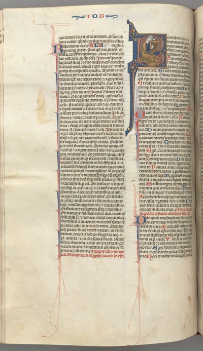 Fol. 214v, Psalm 1, historiierte Initiale 8, David spielt Harfe, um 1275-1300 von Unbekannt