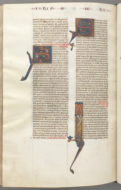 Fol. 481v, Judas, historisierte Initiale I, Judas mit einer Schriftrolle, ca. 1275-1300 von Unbekannt
