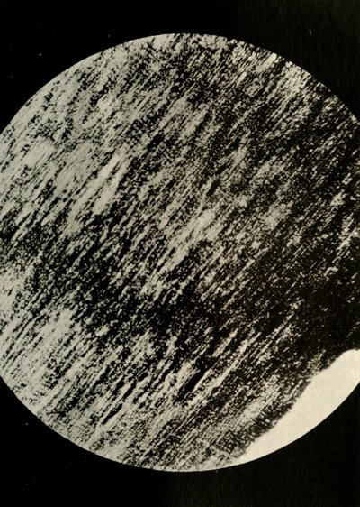 Fossiles Holz im Sandstein, von einer Moräne in 85° südlicher Breite, ca. 1908, 1909 von Unbekannt