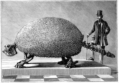 Fossil eines riesigen Gürteltieres aus Südamerika, um 1890 von Unbekannt