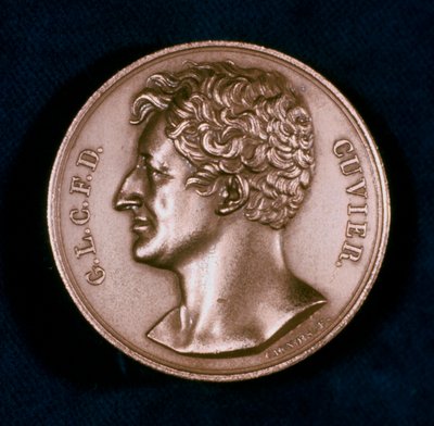 Georges Leopold Chretien Frederic Dagobert, Baron Cuvier, französischer Anatom, 19. Jahrhundert von Unbekannt