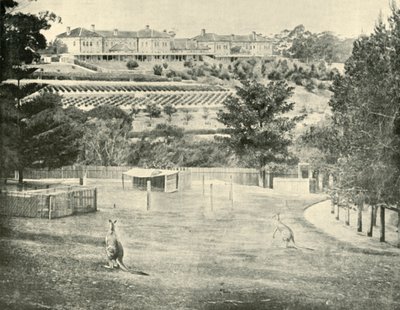 Gladesville Asylum für Geisteskranke, New South Wales, 1901 von Unbekannt