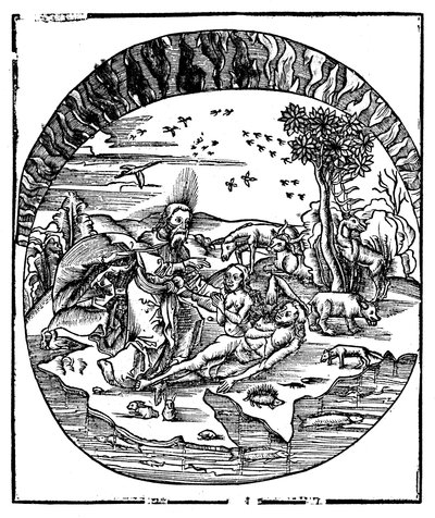 Gott erschafft Eva aus Adams Rippe, 1508 von Unbekannt