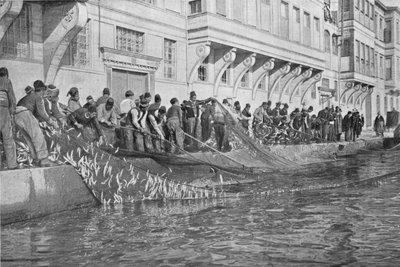 Einholen eines Grippes von 15000 Fischen in Emirgian am Bosporus von Unbekannt