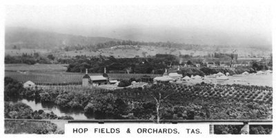 Hopfenfelder und Obstgärten, Tasmanien, Australien, 1928 von Unbekannt