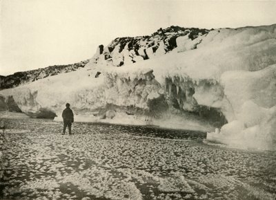 Eisblumen auf neu gebildetem Meereis zu Beginn des Winters, ca. 1908, 1909 von Unbekannt