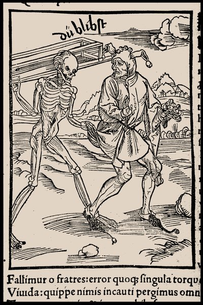 Illustration zum Buch Narrenschiff von Sebastian Brant, 1497 von Unbekannt