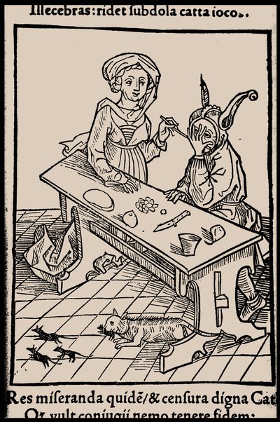 Illustration zum Buch Narrenschiff von Sebastian Brant, 1497 von Unbekannt