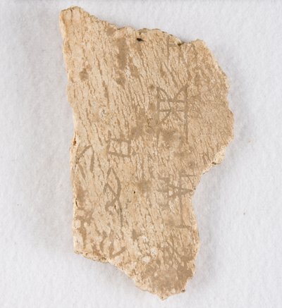 Inschrift auf Knochenfragment, Orakelknochen, Späte Shang-Dynastie, ca. 1300-1050 v. Chr. von Unbekannt