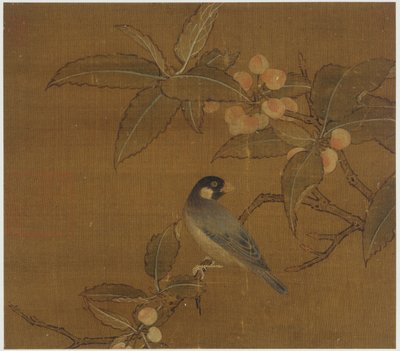 Java-Spatz auf einem Beerenzweig, Ming-Dynastie von Unbekannt