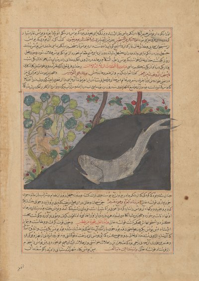 Jona und der Wal, Folio aus einem Majma