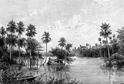 Las Palmes Lagunas, nahe der Mündung des Pilcomayo, 1895 von Unbekannt