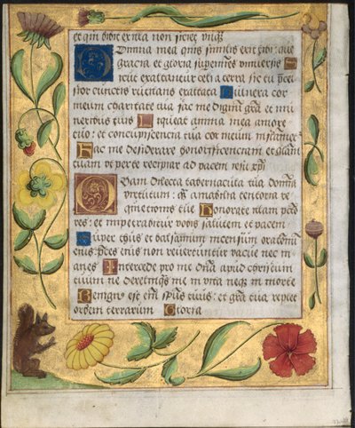 Blatt aus einem Psalter und Gebetbuch: Ornamentaler Rand mit Blumen und Eichhörnchen verso, um 1524 von Unbekannt