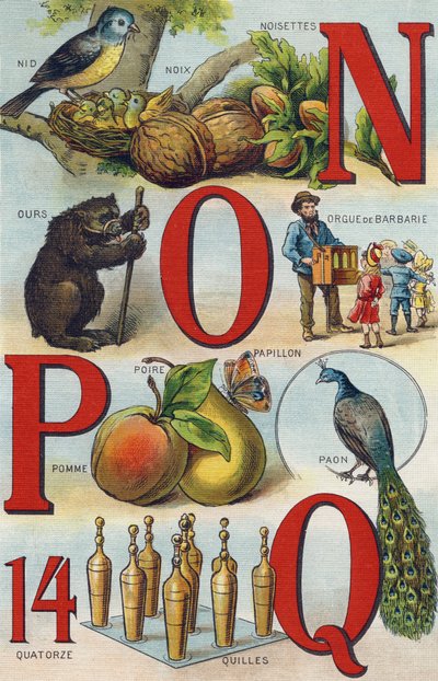 Buchstaben N O P Q; Nest; Haselnüsse; Drehorgel; Bär; Pfau; Schmetterling Apfel Birne; Kugeln von Unbekannt