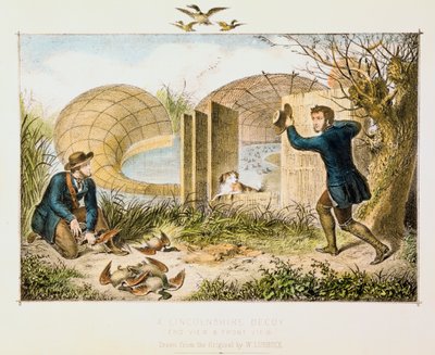 Lincolnshire Entenfang, um 1845 von Unbekannt