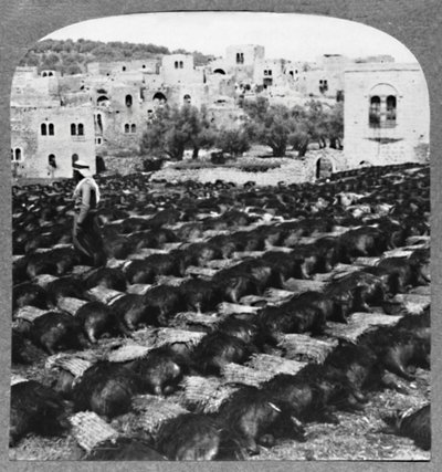 Herstellung von Weinflaschen, Hebron, ca. 1900 von Unbekannt