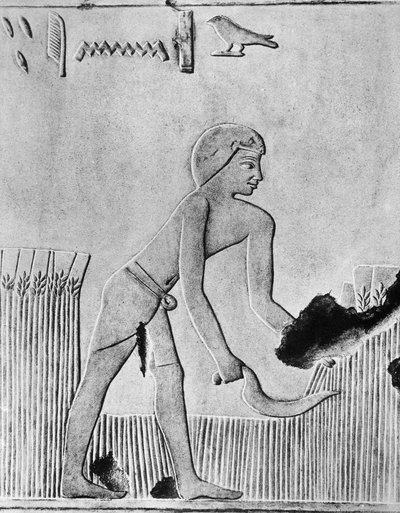 Mann, der Gerste mit einer Sichel erntet, wahrscheinlich aus Holz mit Feuerstein besetzt, Altägyptisch, ca. 240 v. Chr. von Unbekannt