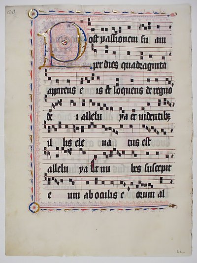 Manuskriptblatt mit Initiale P, aus einem Antiphonar, deutsch, zweites Viertel des 15. Jahrhunderts von Unbekannt