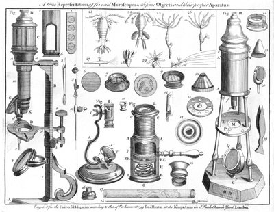 Mikroskope und mikroskopische Objekte, 1750 von Unbekannt