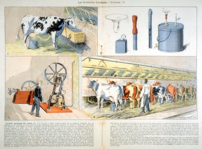 Melkstand mit Thistle-Saug- und Pulsationsmelkmaschine, 1899 von Unbekannt