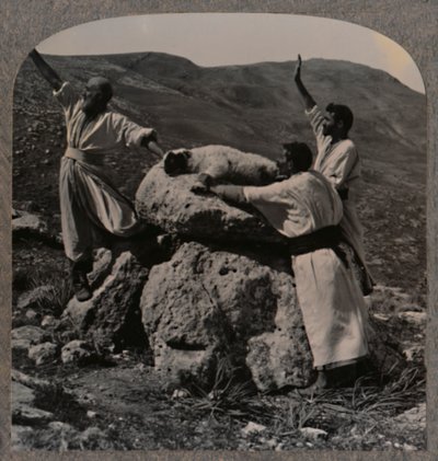Opfergabe eines Lammes auf dem Altar, Moreh, ca. 1900 von Unbekannt