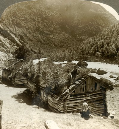 Alte Blockhäuser in Bratslandsdal, mit Bäumen auf mit Gras bedeckten Dächern, Norwegen, ca. 1905 von Unbekannt
