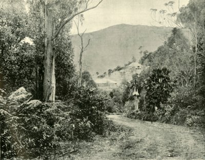 Auf der Illawarra Road, N.S.W., 1901 von Unbekannt