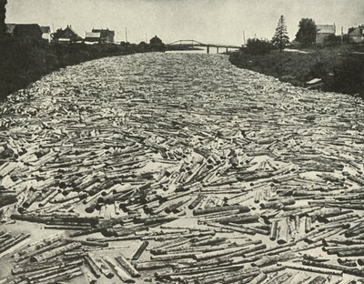 Auf dem Weg zu den Sägewerken, ca. 1948 von Unbekannt