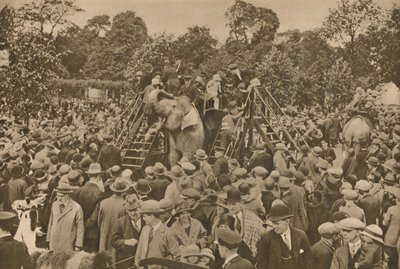Eines der Zeichen unserer Zivilisation: Gut bestückte zoologische Gärten zur Freude der Neugierigen, ca. 193 von Unbekannt