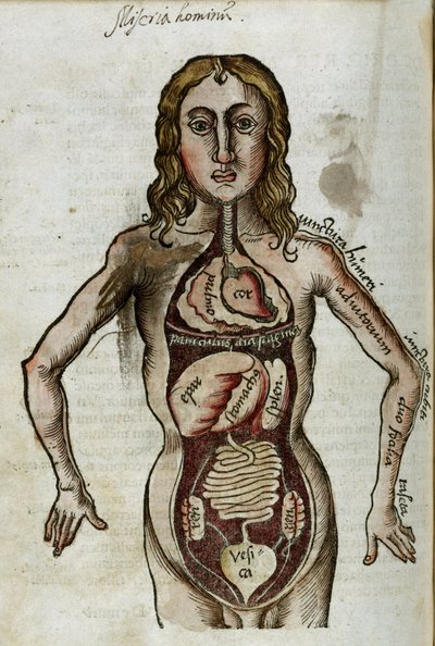 Mann mit freigelegten inneren Organen von Unbekannt
