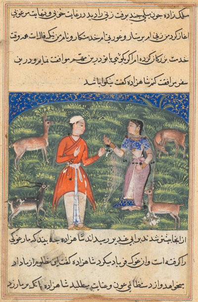 Seite aus Geschichten eines Papageis Tuti-nama: Achtzehnte Nacht: Nikfal, das Glück, ca. 1560 von Unbekannt