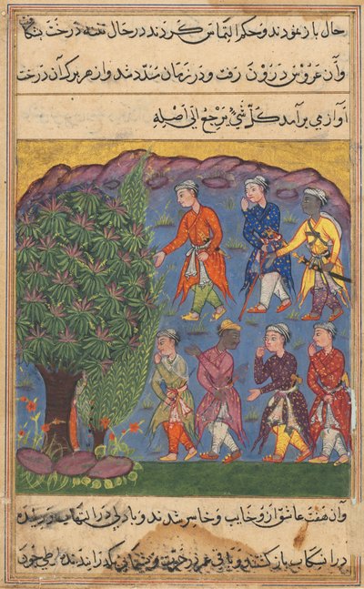 Seite aus Geschichten eines Papageis Tuti-nama: Sechste Nacht: Sieben Männer streiten um den Besitz, ca. 1560 von Unbekannt
