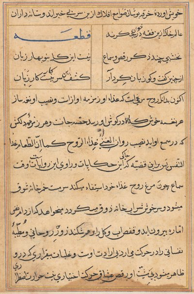 Seite aus den Geschichten eines Papageis Tuti-nama: Textseite, ca. 1560 von Unbekannt