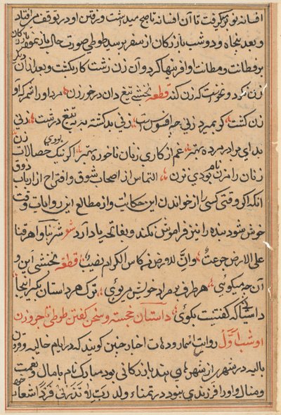 Seite aus den Geschichten eines Papageis Tuti-nama: Textseite, ca. 1560 von Unbekannt