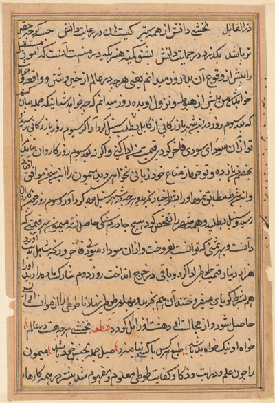 Seite aus Geschichten eines Papageis Tuti-nama: Textseite, ca. 1560 von Unbekannt