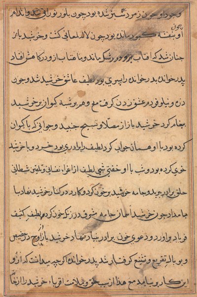 Seite aus den Geschichten eines Papageis (Tuti-nama): Textseite, ca. 1560 von Unbekannt
