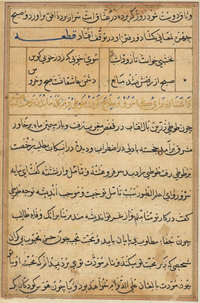 Seite aus Tales of a Parrot Tuti-nama: Textseite, ca. 1560 von Unbekannt
