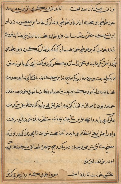 Seite aus Geschichten eines Papageis Tuti-nama: Textseite, ca. 1560 von Unbekannt
