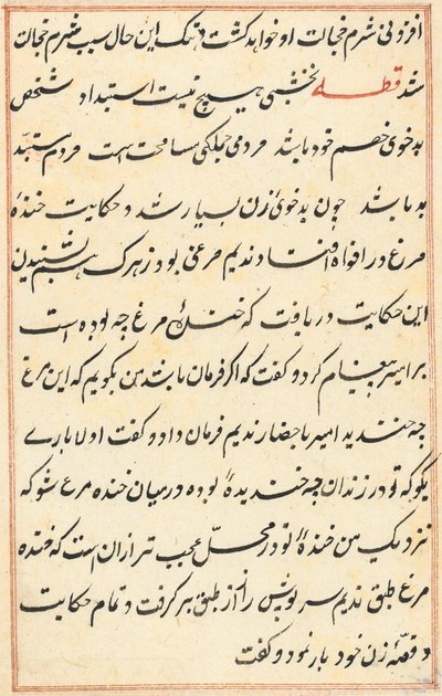 Seite aus den Geschichten eines Papageis Tuti-nama: Textseite, ca. 1560 von Unbekannt