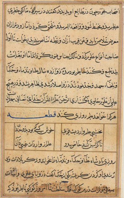 Seite aus Geschichten eines Papageis Tuti-nama: Textseite, ca. 1560 von Unbekannt