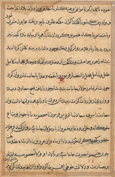 Seite aus Geschichten eines Papageis Tuti-nama: Textseite, ca. 1560 von Unbekannt