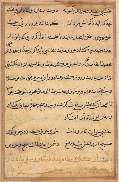 Seite aus den Geschichten eines Papageis Tuti-nama: Textseite, ca. 1560 von Unbekannt