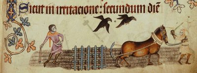 Bauern pflügen aus dem Luttrell Psalter, ca. 1330 von Unbekannt
