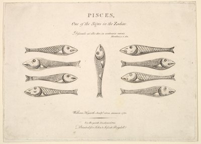 Fische: Hogarths Quadrille-Fische, ca. 1730 von Unbekannt